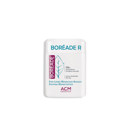 BOREADE STICK REPARADOR 9.2